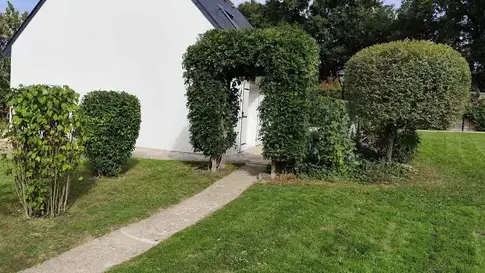 abattage arbre à Bécon-les-Granits - image 2