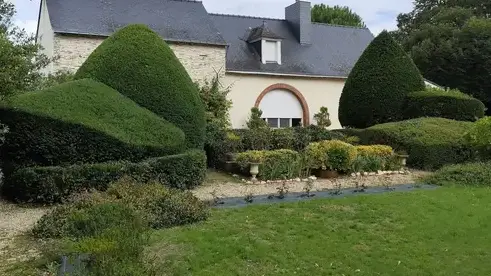 abattage arbre à Candé - image 3
