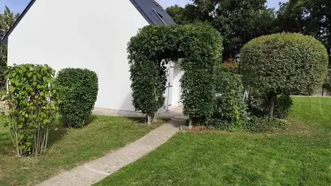 abattage arbre à Candé - image 4