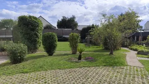 abattage arbre à Erdre-en-Anjou - image 3