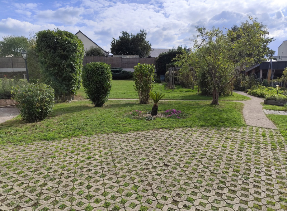 abattage arbre erdre en anjou