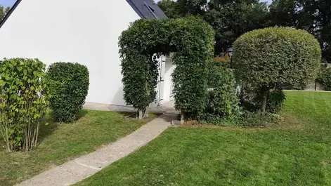 abattage arbre à Saint-Clément-de-la-Place - image 3