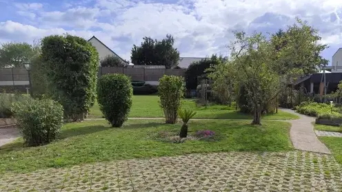abattage arbre Val d'Erdre-Auxence-5