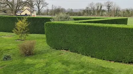 aménagement de jardin Candé-5