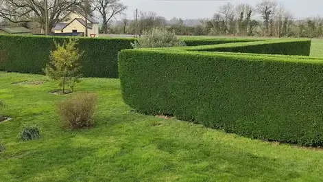aménagement de jardin à Erdre-en-Anjou - image 2