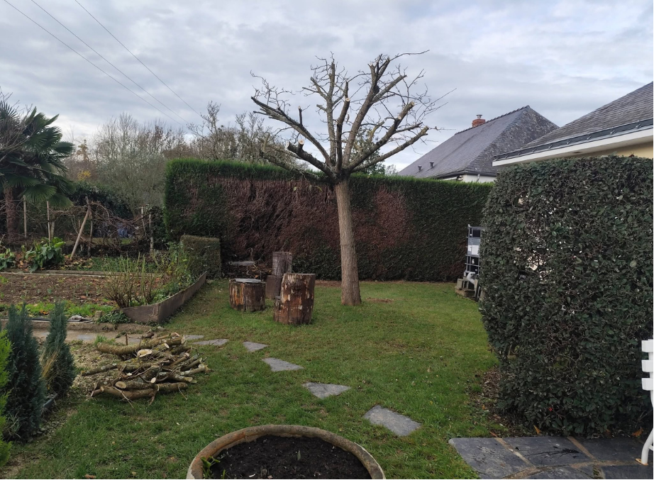 after-image