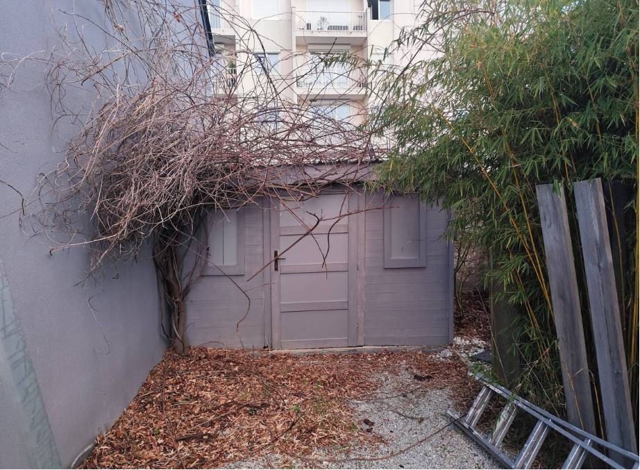 before-image