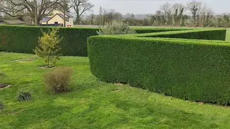 aménagement de jardin Saint-Lambert-la-Potherie-1