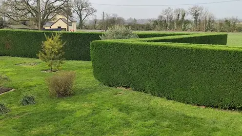 aménagement de jardin Val d'Erdre-Auxence-5
