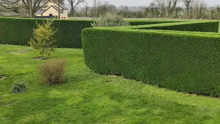 aménagement paysager à Candé - image 4