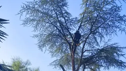 aménagement paysager Candé-5