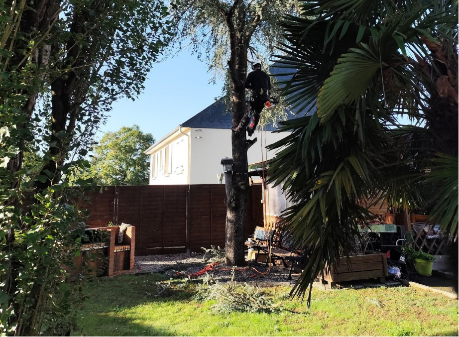 before-image