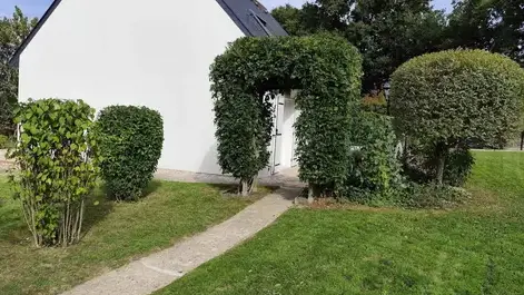 elagueur à Candé - image 2