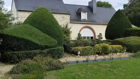 elagueur à Candé - image 3