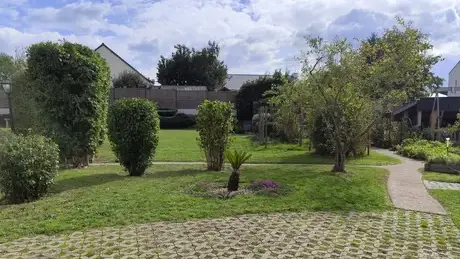 elagueur Saint-Clément-de-la-Place-5
