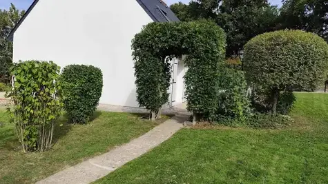 elagueur Saint-Lambert-la-Potherie-1