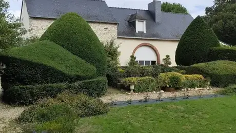 entretien de jardin à Bécon-les-Granits - image 3