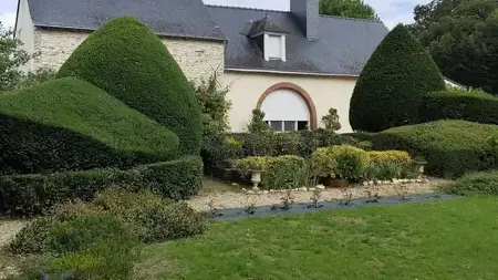 entretien de jardin Candé-1