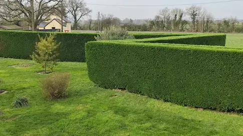 entretien de jardin à Candé - image 4