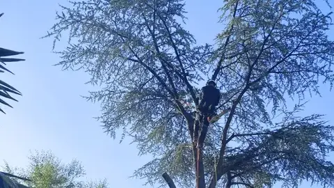 entretien de jardin Erdre-en-Anjou-1