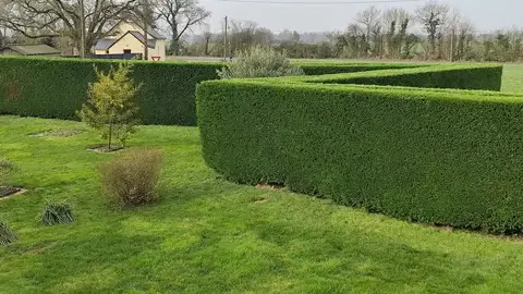 entretien de jardin à Saint-Clément-de-la-Place - image 4