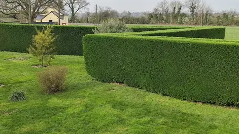 entretien de jardin à Saint-Lambert-la-Potherie - image 3