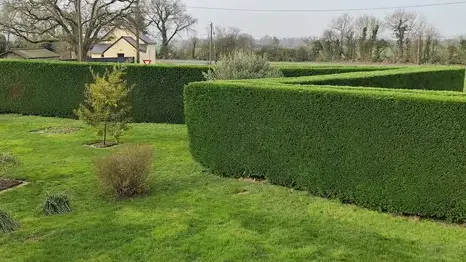 entretien de jardin Val d'Erdre-Auxence-1