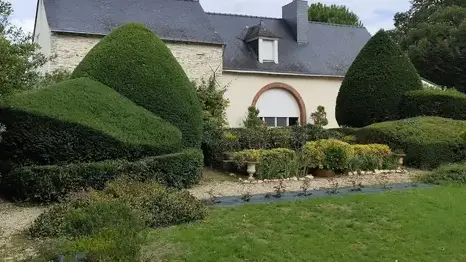 entretien de jardin à Val d'Erdre-Auxence - image 2