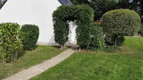 entretien de jardin à Val d'Erdre-Auxence - image 4