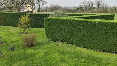 entretien des espaces verts à Bécon-les-Granits - image 3