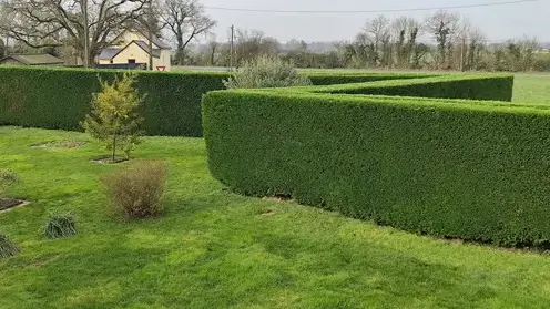 entretien des espaces verts à Candé - image 3