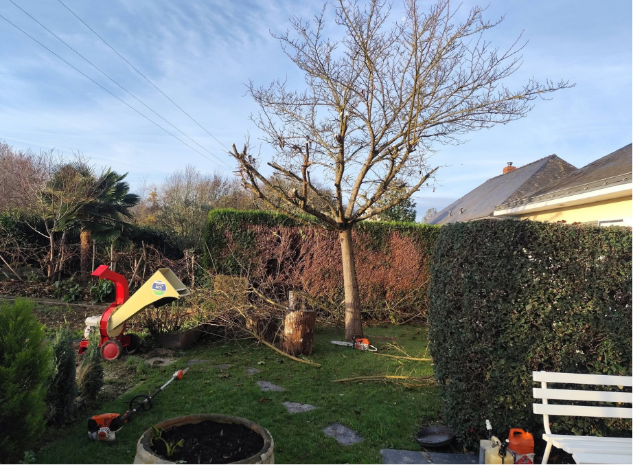 before-image