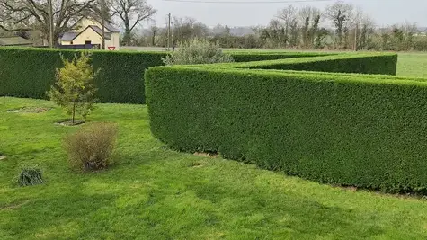 entretien des espaces verts à Erdre-en-Anjou - image 3