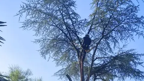 entretien des espaces verts Erdre-en-Anjou-5