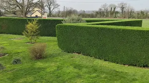 entretien des espaces verts Saint-Lambert-la-Potherie-5