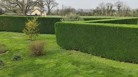 entretien des espaces verts à Val d'Erdre-Auxence - image 2
