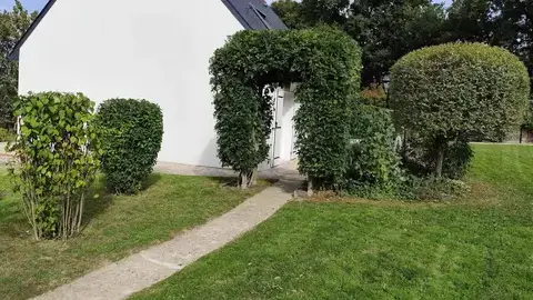 jardinage service à la personne à Bécon-les-Granits - image 4