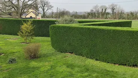 jardinage service à la personne Candé-1