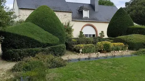 jardinage service à la personne à Candé - image 4