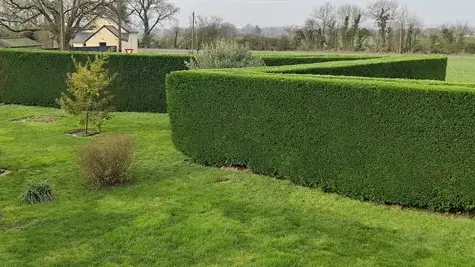 jardinage service à la personne à Erdre-en-Anjou - image 4
