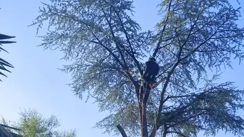 jardinage service à la personne Erdre-en-Anjou-5