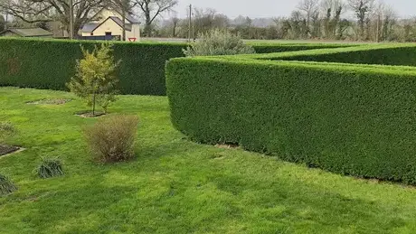 jardinage service à la personne à Saint-Lambert-la-Potherie - image 4