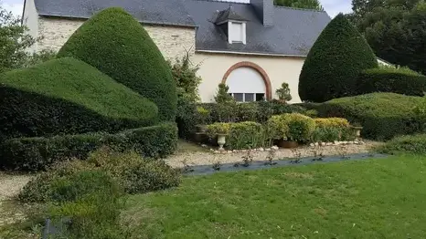 jardinage service à la personne à Val d'Erdre-Auxence - image 2
