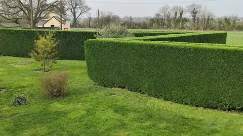 jardinage service à la personne Val d'Erdre-Auxence-5
