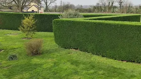 jardinier Candé-5