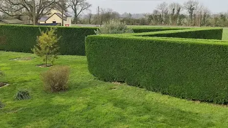 jardinier Erdre-en-Anjou-1