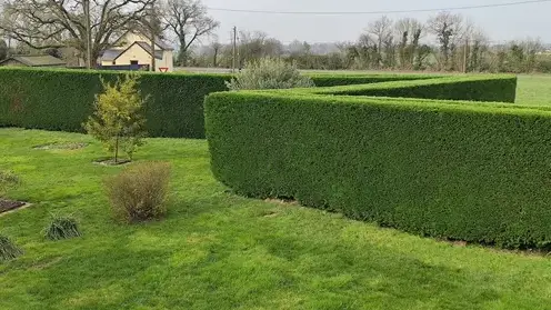 jardinier à Saint-Lambert-la-Potherie - image 2