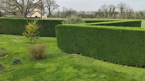 paysagiste à Candé - image 3